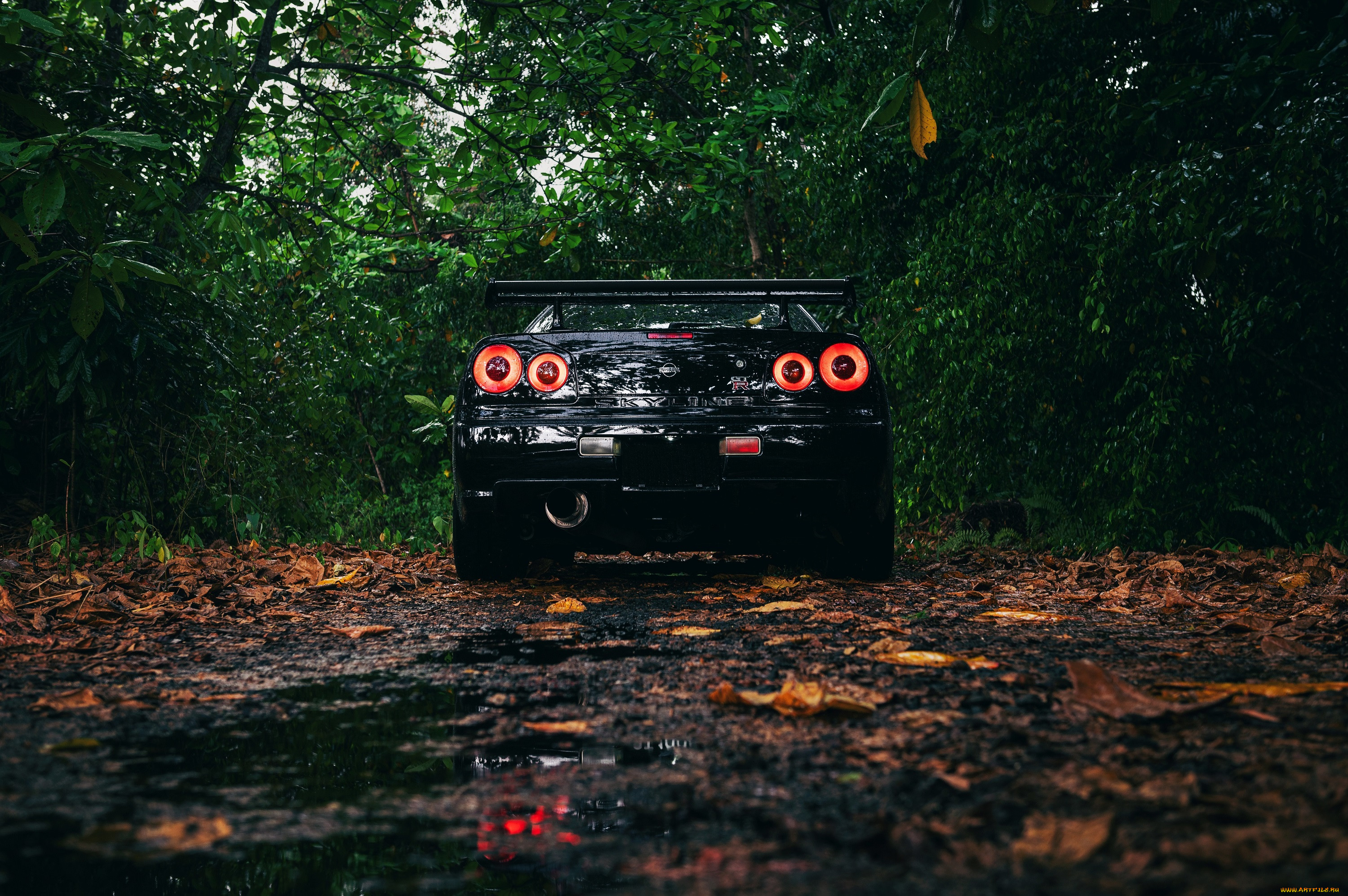, nissan, datsun, black, skyline, r34, spoiler, trees, leaves